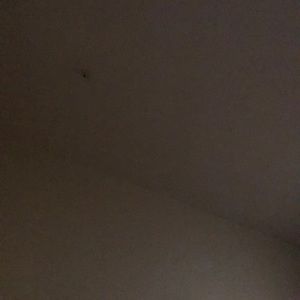 Meet your Posher, Moy